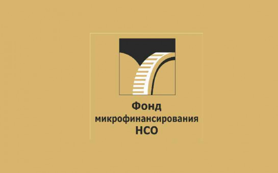 Новые Правила предоставления микрозаймов СМиСП и самозанятым Новосибирской области